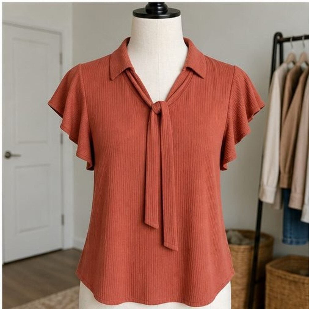 Rust V Neck Top